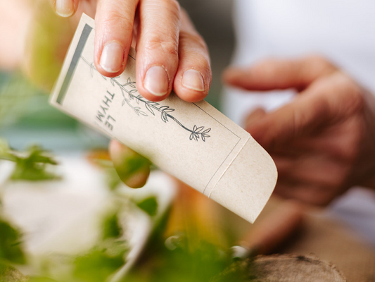 La conservation des semences