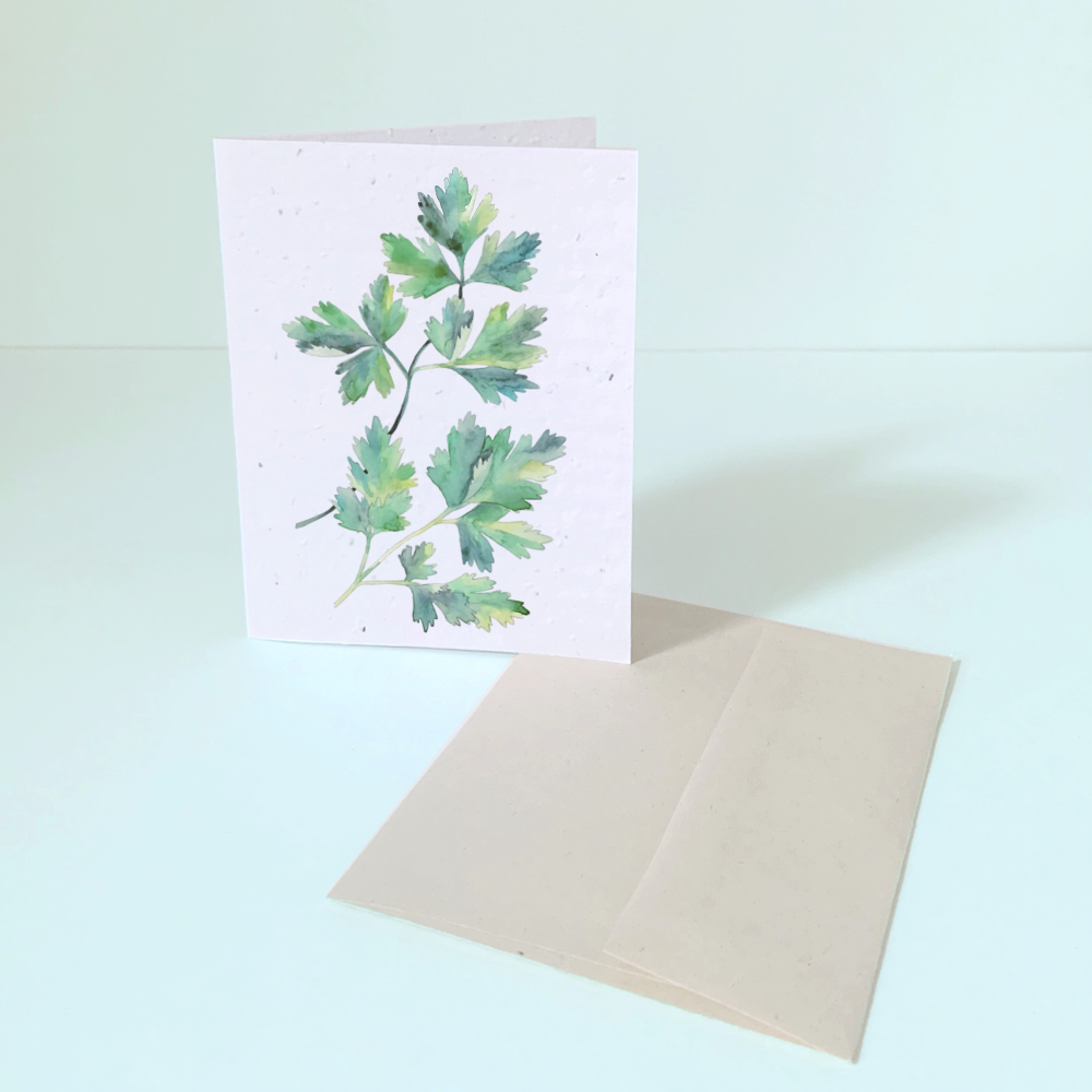 Carte de souhait ensemencée persil