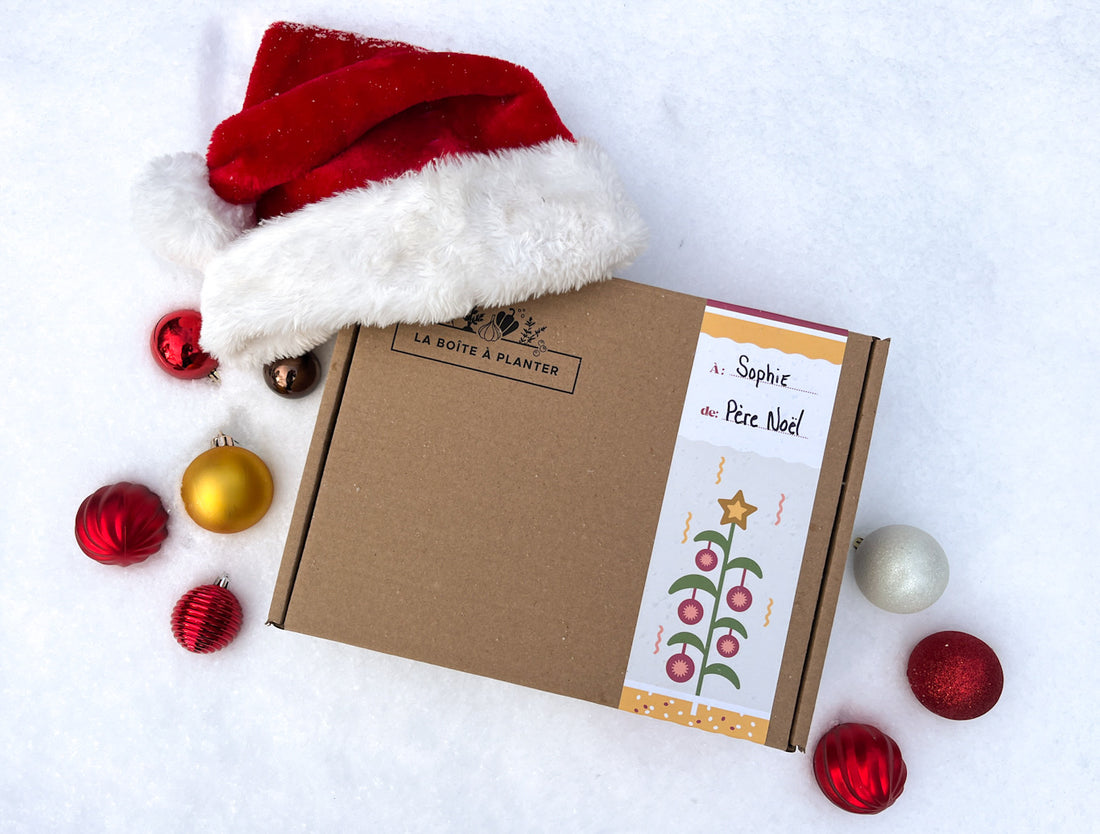 Du jardinage pour Noël !
