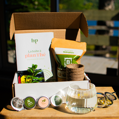 Boîte à planThé