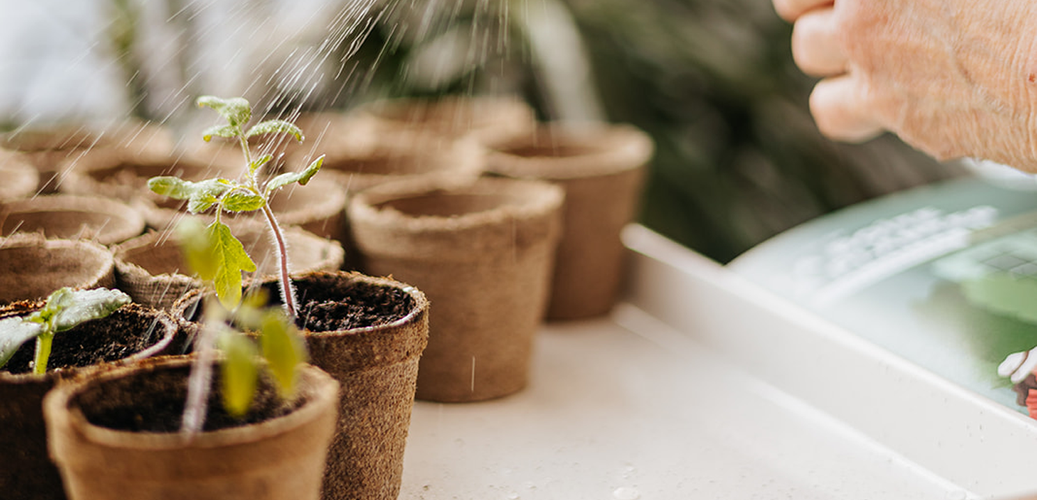 La boîte à planter – laboiteaplanter