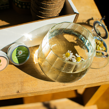 Boîte à planThé